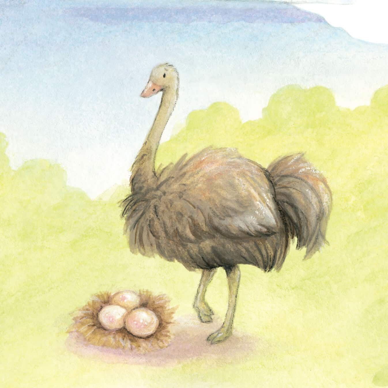olivia the ostrich illlustrated character from guion the lion